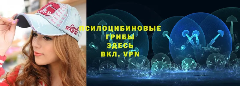 Псилоцибиновые грибы MAGIC MUSHROOMS  маркетплейс какой сайт  Буинск 